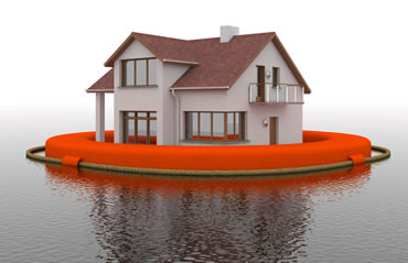 does flood insurance cover mold